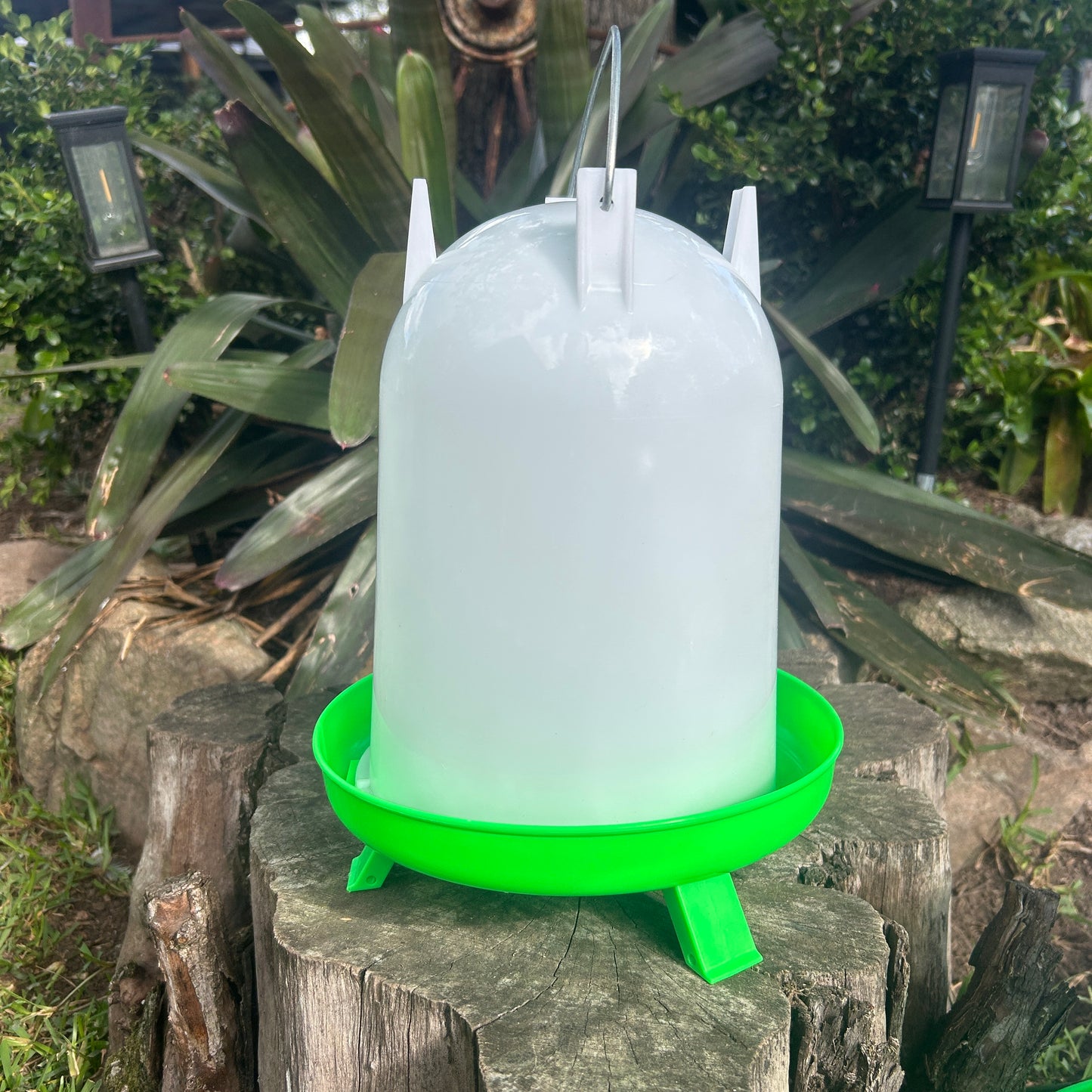 Poultry Drinker Green With Legs