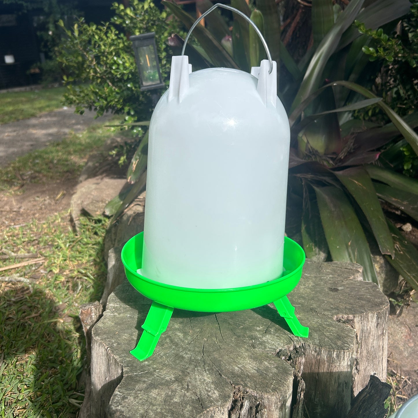 Poultry Drinker Green With Legs