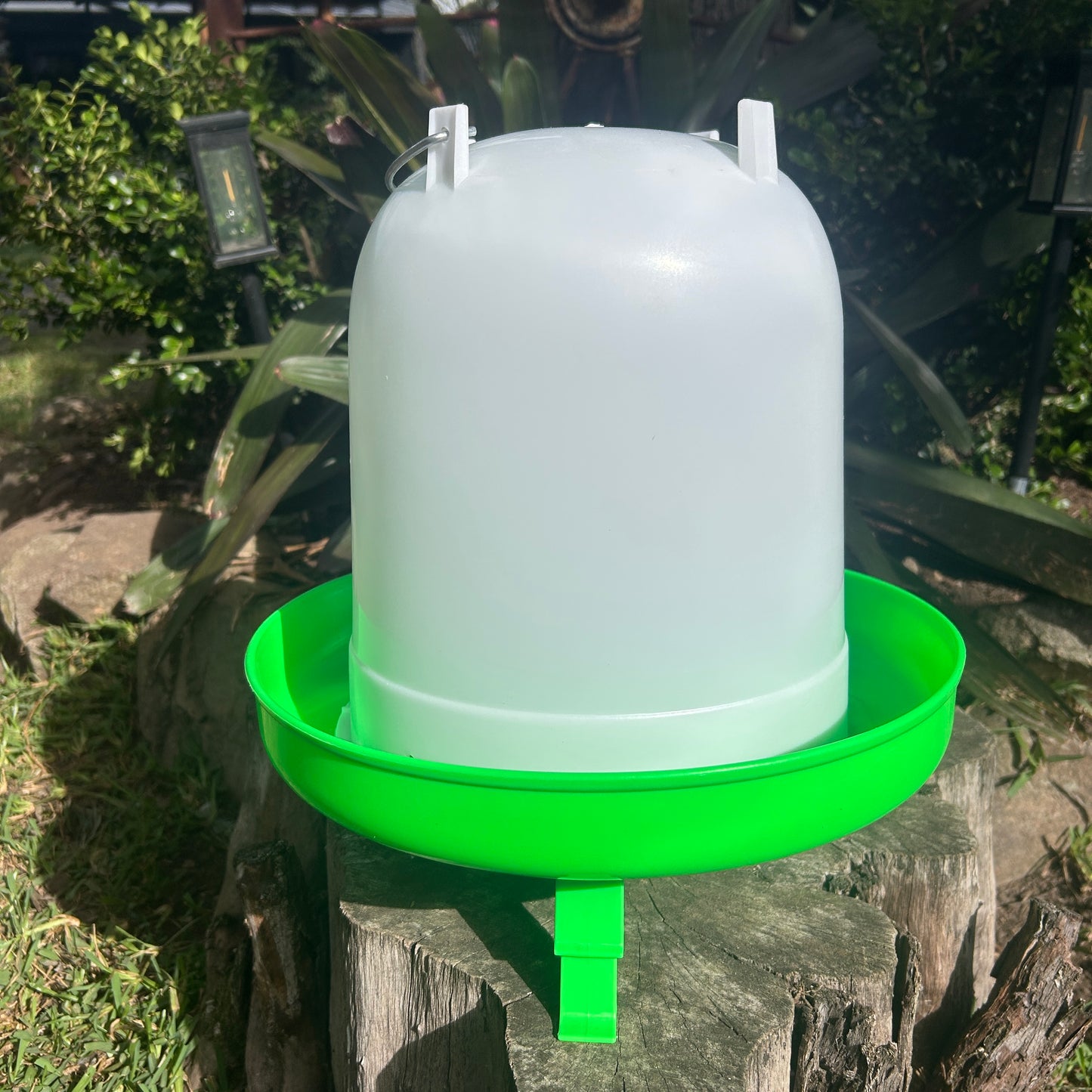 Poultry Drinker Green With Legs