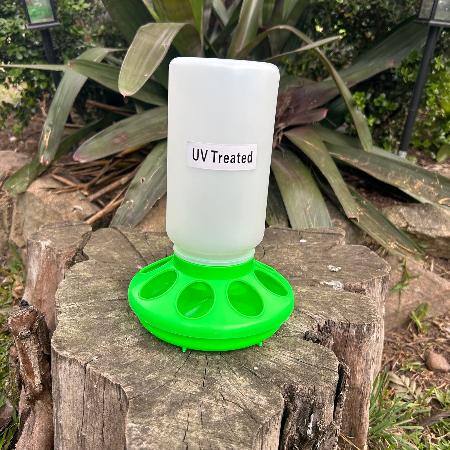 Poultry Quail Chick Feeder 8 Hole Green