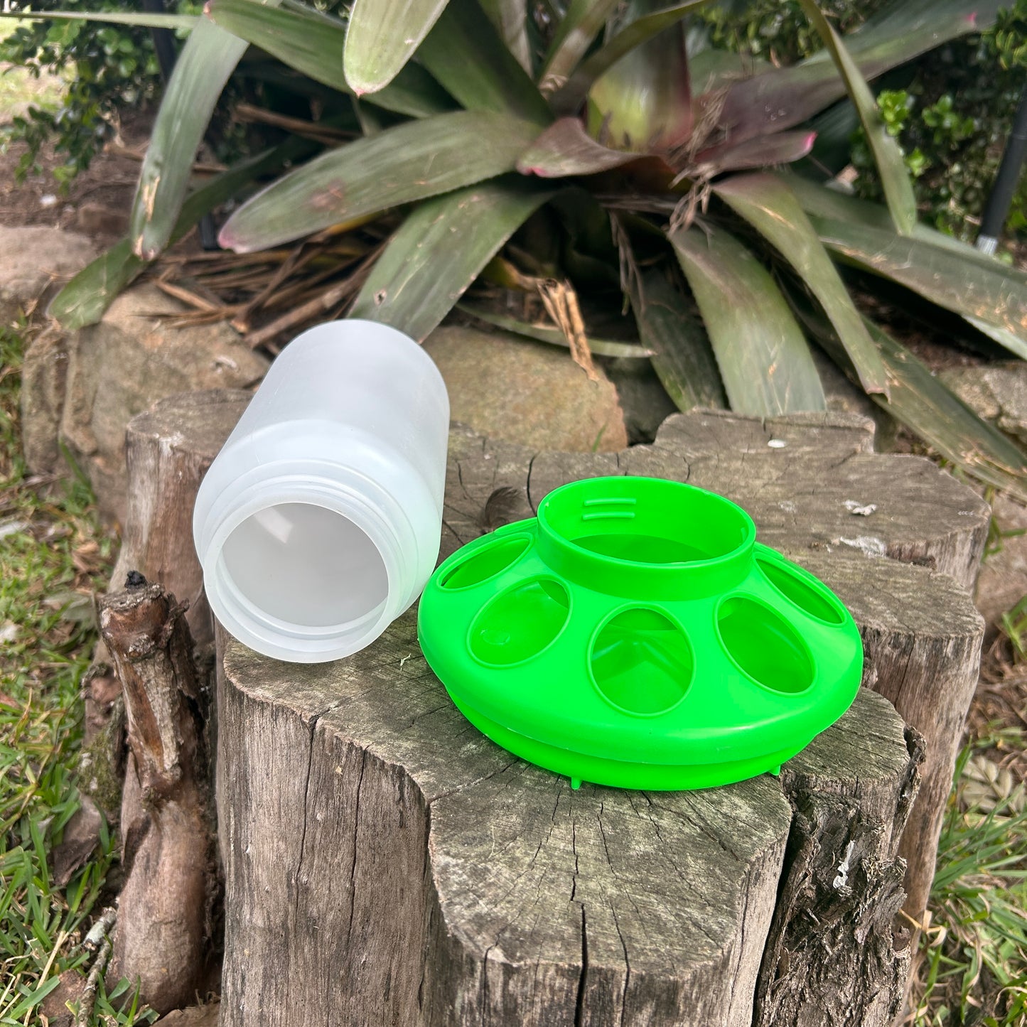 Poultry Quail Chick Feeder 8 Hole Green