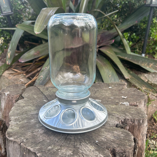 Poultry Quail Chick Feeder 8 Hole Metal and Glass