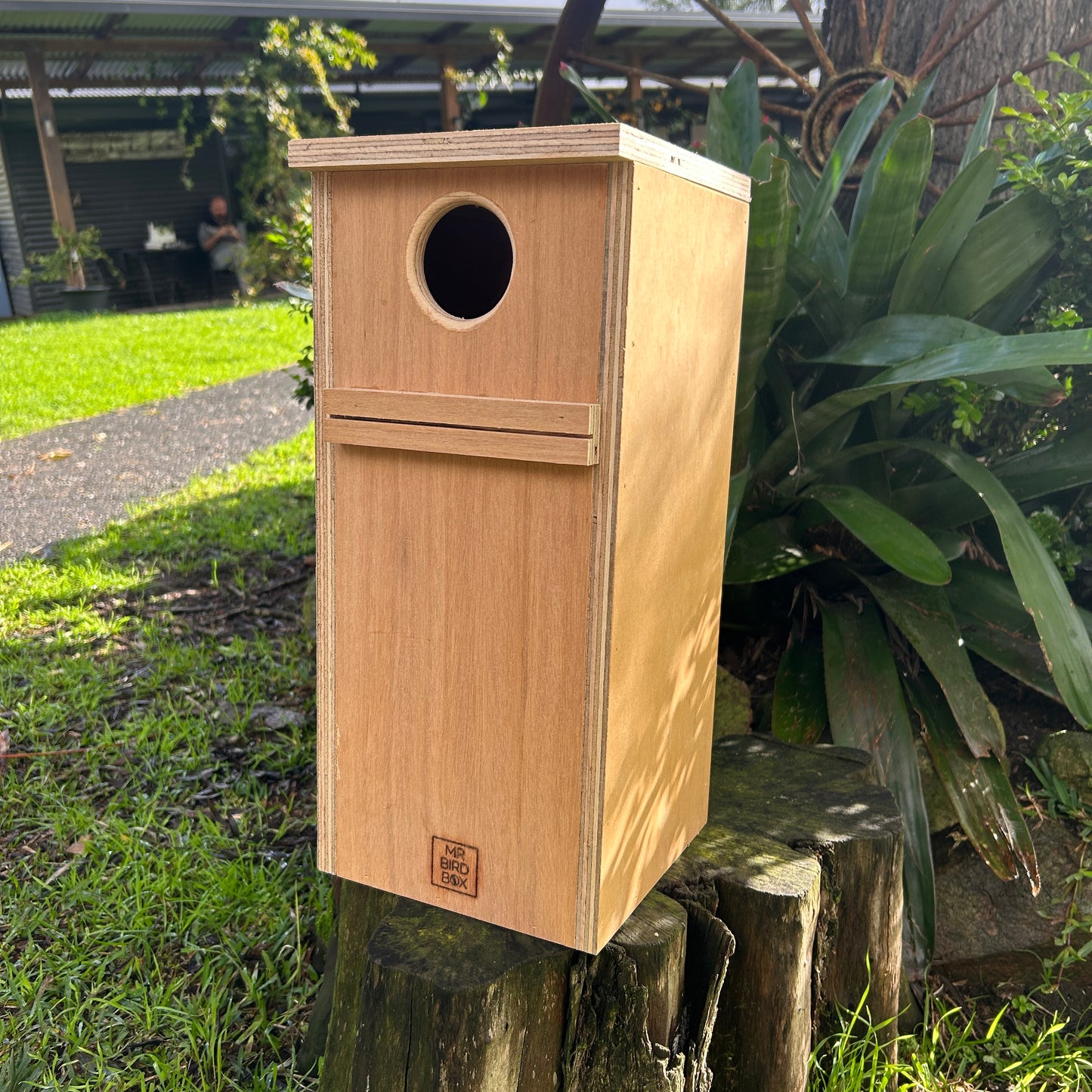 Parrot Nest Box Lorikeet