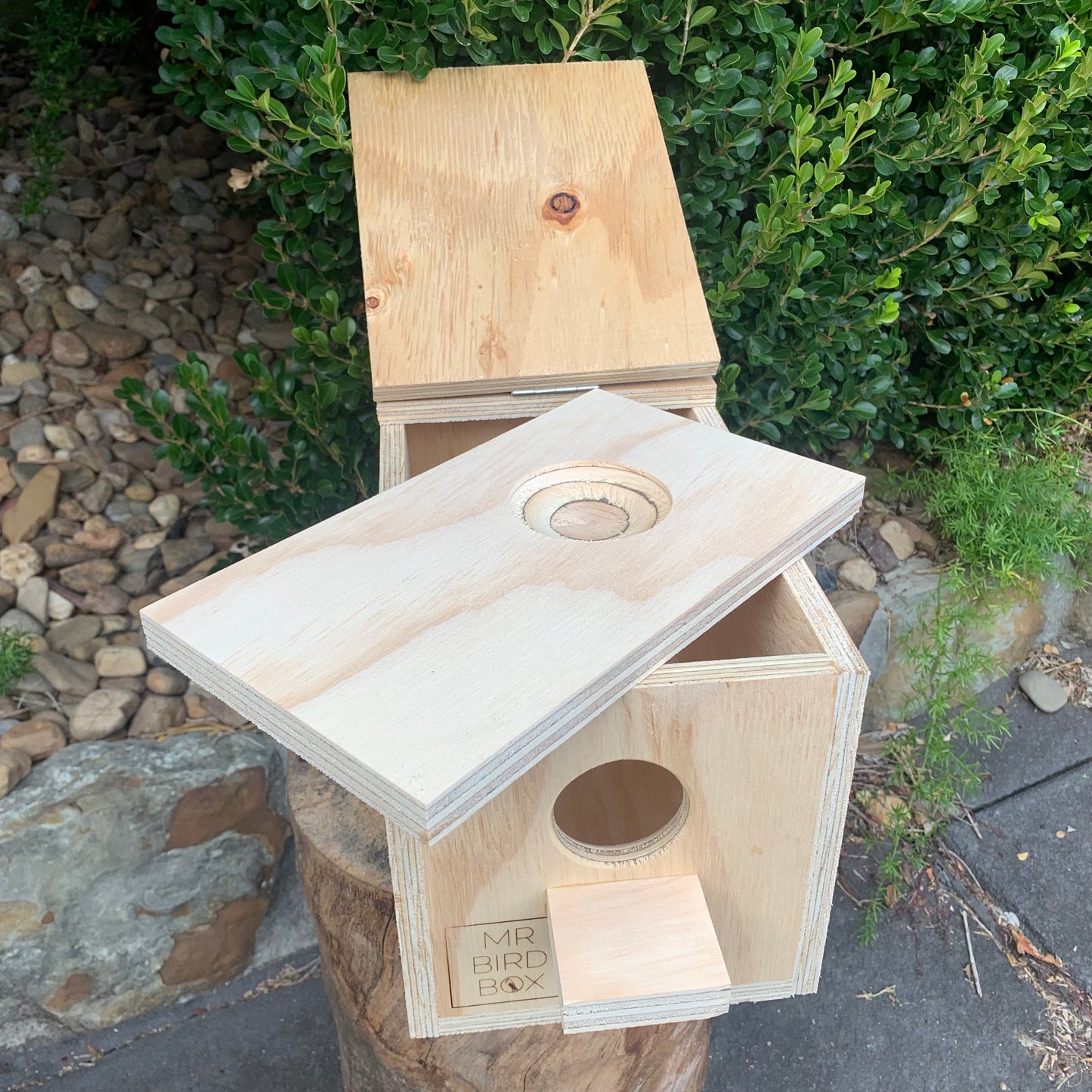 Budgie nest box large