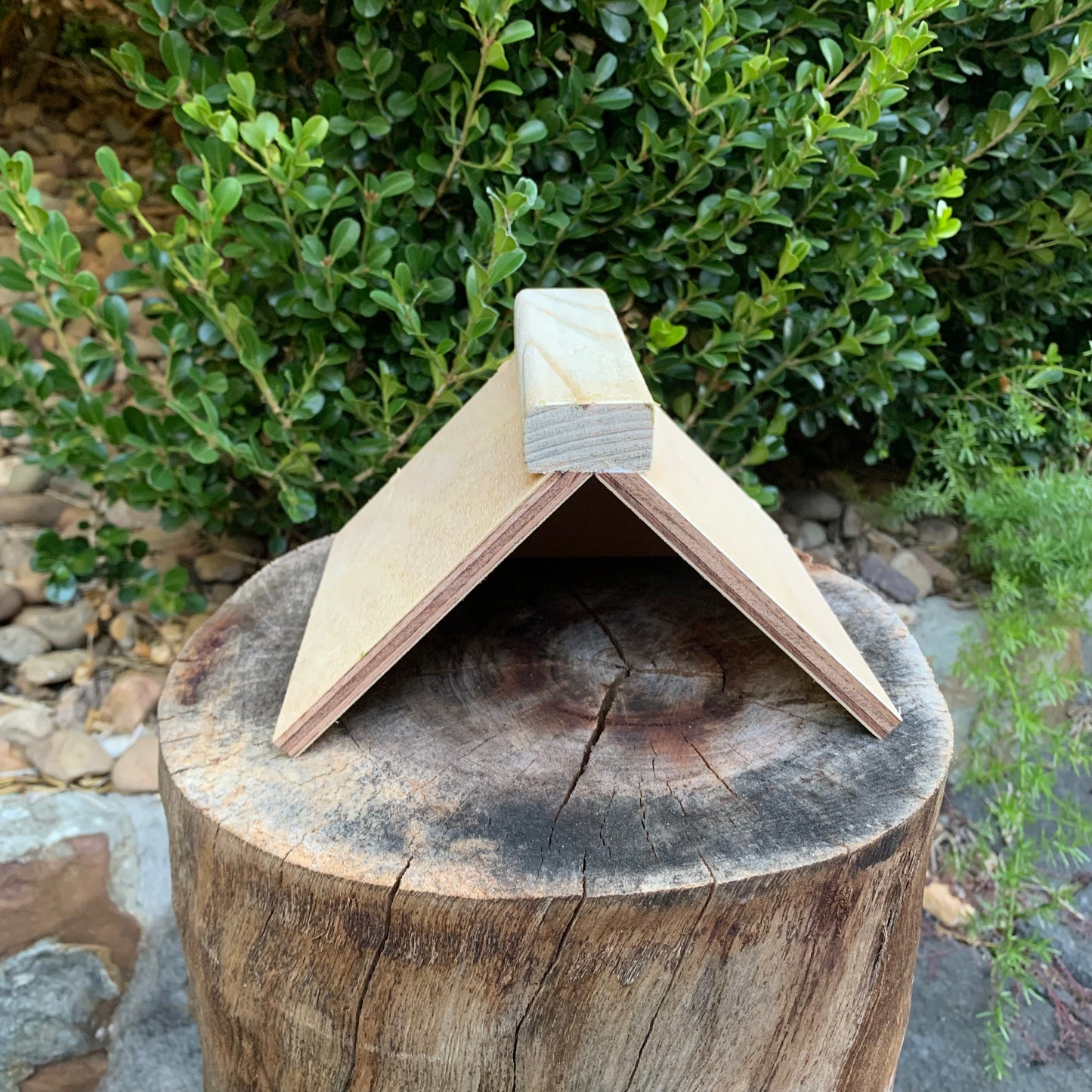 Pigeon Dove Rest Stand Perch A-Shape