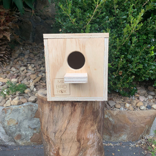 Budgie nest box large