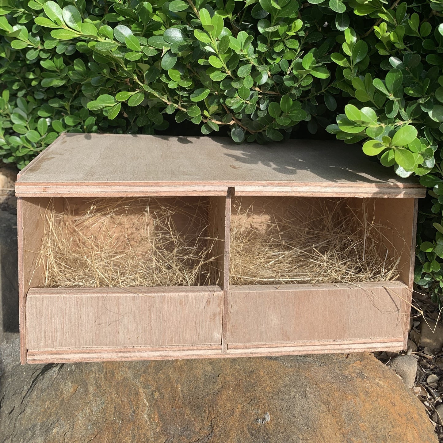 King Quail nest box