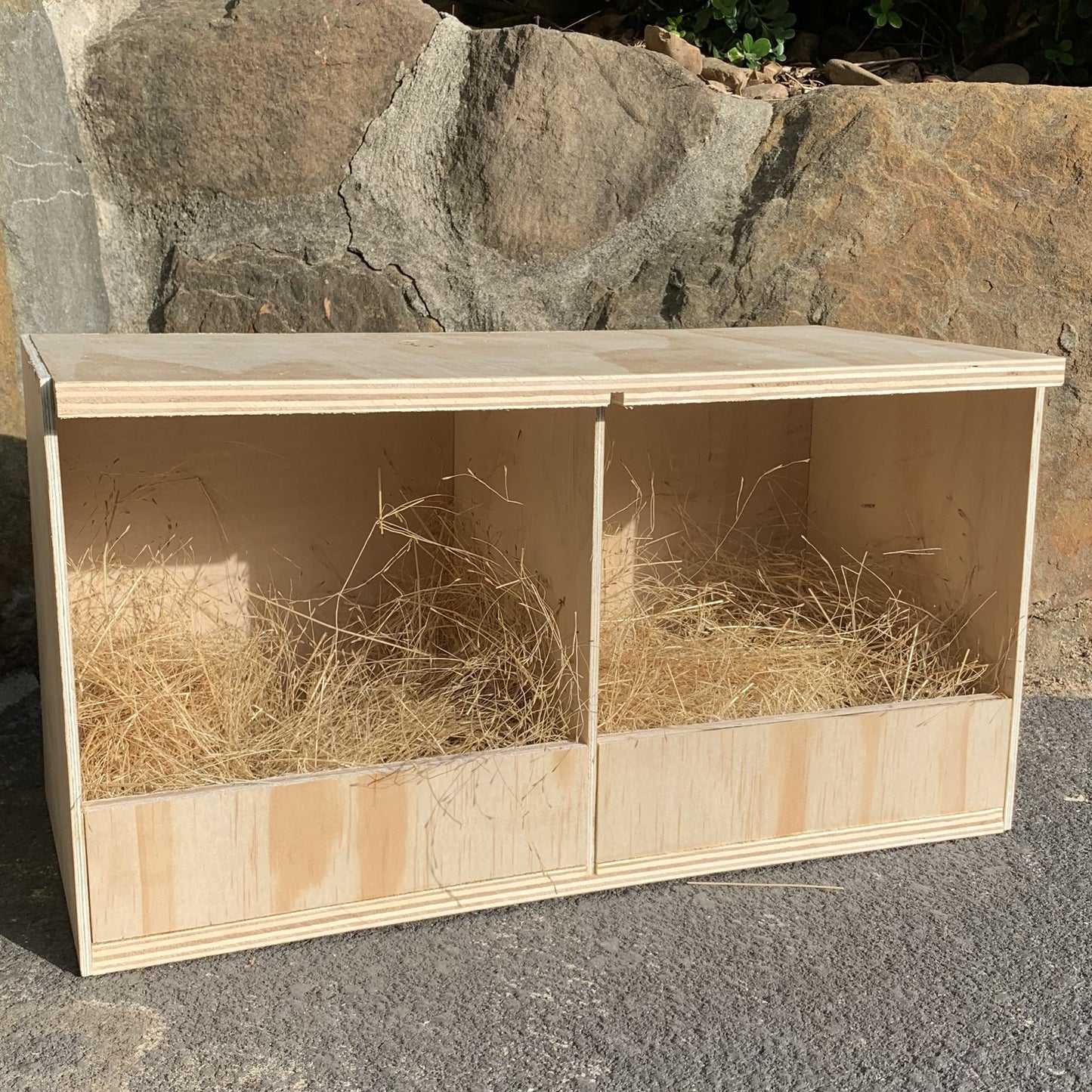 Japanese Coturnix Quail nest box