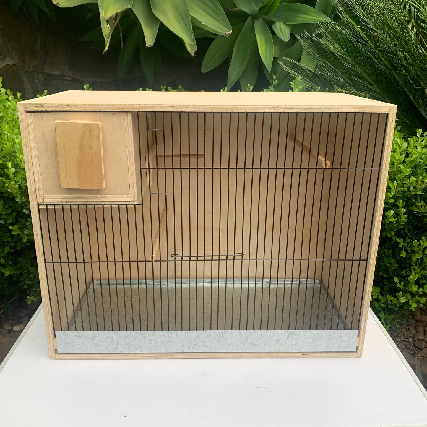 Budgie breeding cabinet