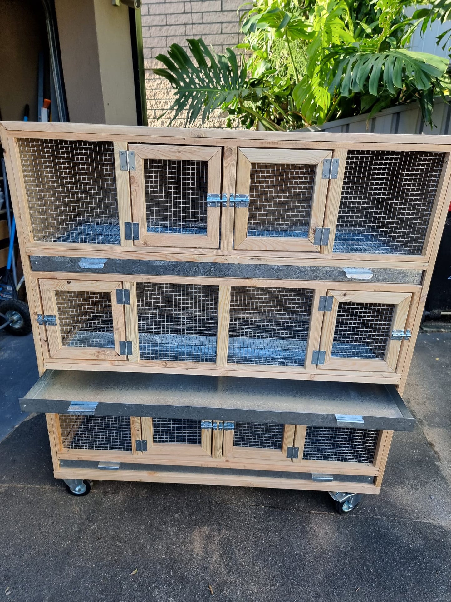 Pigeon breeding cabinet 6 bay