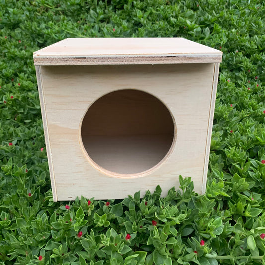 Japanese Coturnix Quail nest box